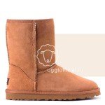 UGG Classic Short Chestnut Man