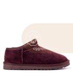 UGG Tasman Chocolate